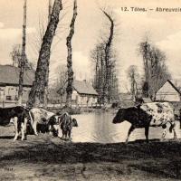 Totes seine maritime l abreuvoir cpa