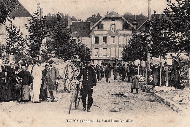 Toucy (89) Le marché aux volailles CPA