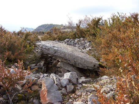 Tournemire (Aveyron) Le dolmen de Coste Plane