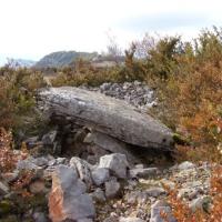 Le dolmen de Coste Plane