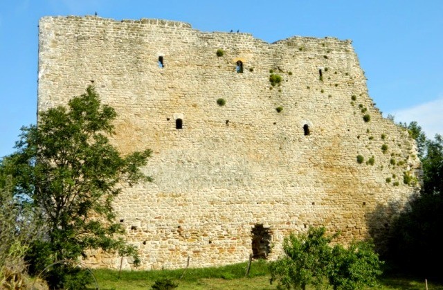 Vaudemont 54 le chateau vestiges de la tour brunehaut