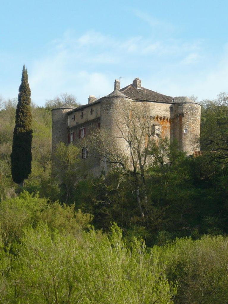 Versols-et-Lapeyre (Aveyron) Le château de Montalègre