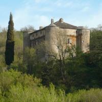 Le château de Montalègre