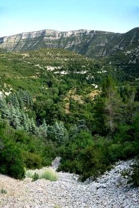 Les Gorges de la Vis