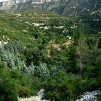 Les Gorges de la Vis