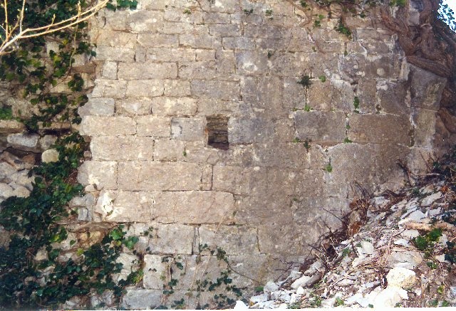 Les ruines du Castellas