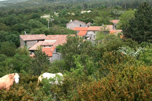 Régagnas