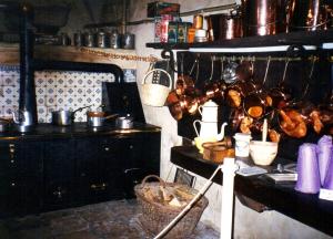 1995 noel au chateau de la ferte saint aubin