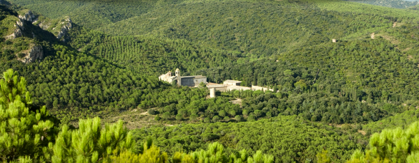 Abbaye de fontfroide