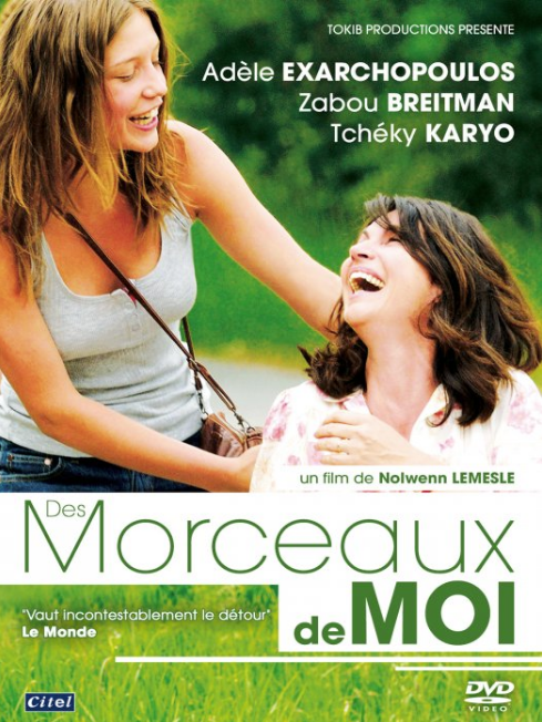 Affiche film des morceaux de moi