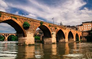 Albi tarn le pont vieux