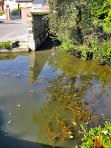 Amiens somme le port a fumier de la planquette