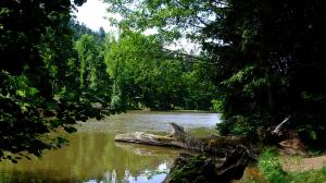 Arboretum lac de pezanin