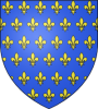 Blason de france ancien