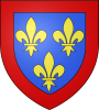 Blason duche fr anjou moderne svg