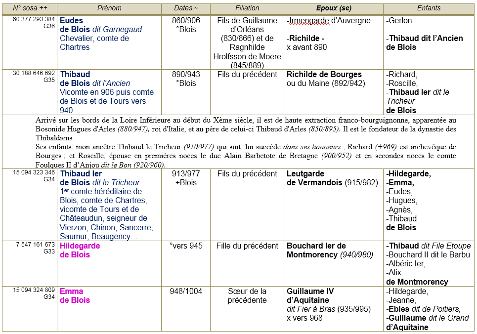 Blois 41 ancetres