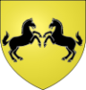 Brusque blason