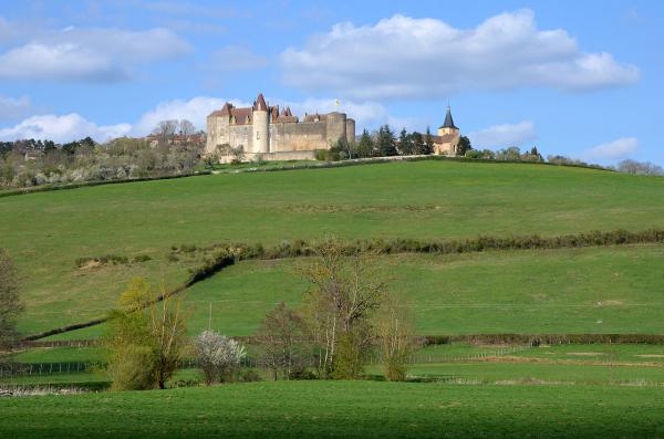 Chateauneuf en auxois cote d or le chateau