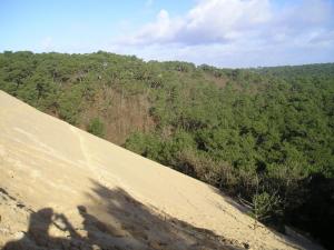 Dune de pilat en 2005