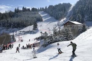 Gerardmer vosges la station de la mauselaine