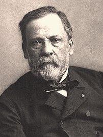 Louis pasteur 1