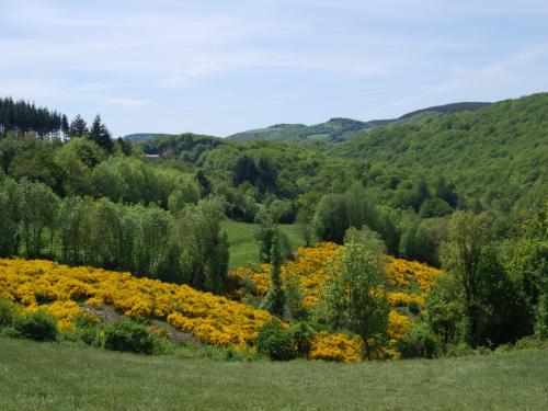 Raunier, hameau de Mélagues (12)