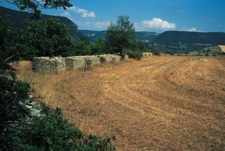 Saint georges de luzencon aveyron combe laurance